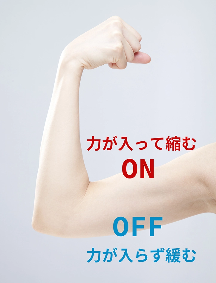 力瘤と筋肉の関係